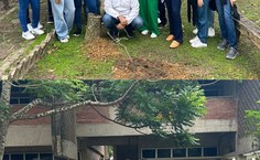 Projeto plante uma árvore com o prof Irinaldo